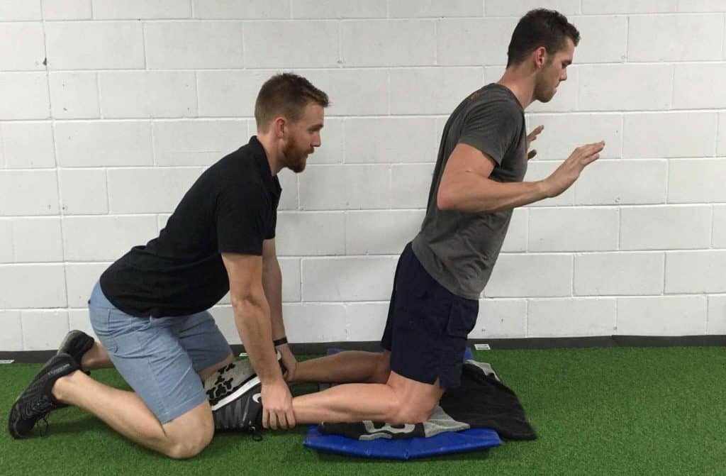 Ejecución Curl Nordico