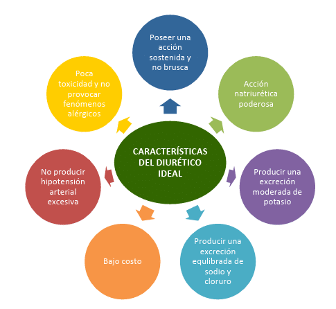 Potencial y riesgos de los Diuréticos en Culturismo 8 » Tienda VitaSport Características diurético ideal