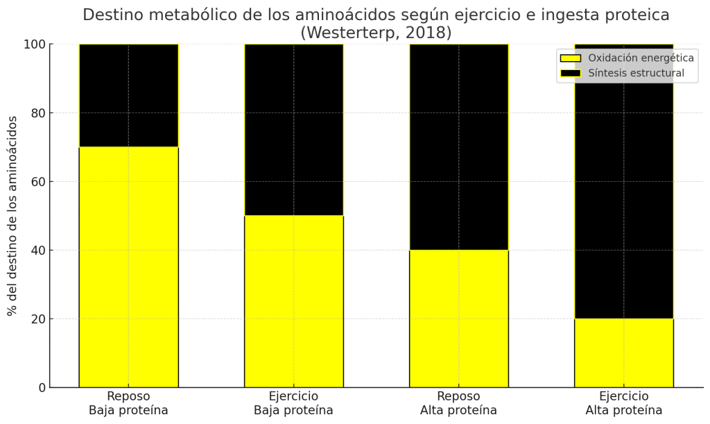 Gráfica conceptual ejercicio reduce oxidación