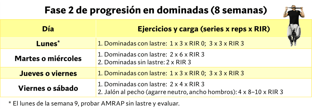 Fase dos progresión en dominadas