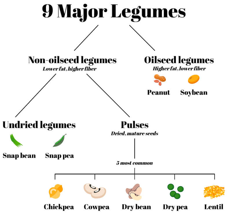Legumbres 1jpg
