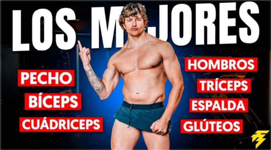 Ejercicios cada grupo muscular 