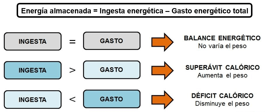 Efecto de dieta en bocadillos