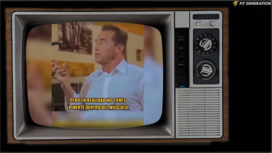 Palabras de Arnold musculo