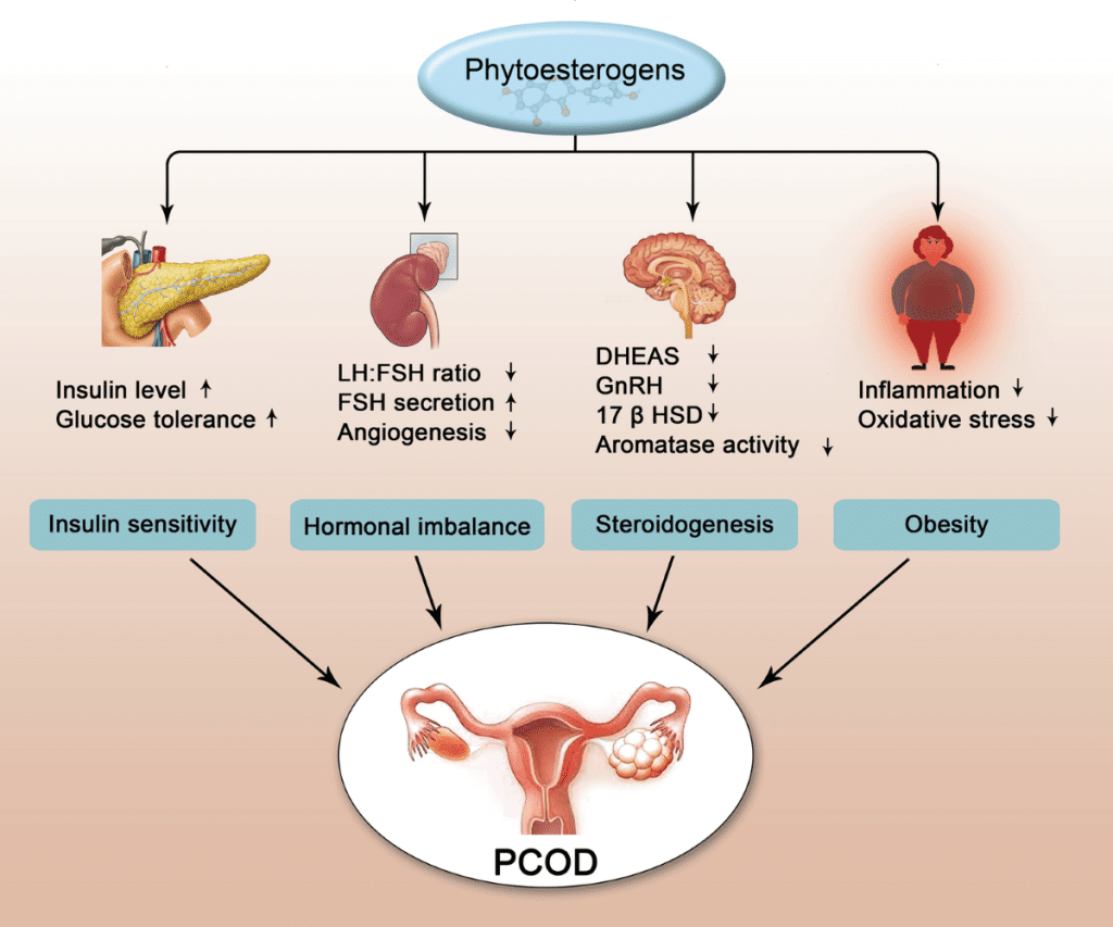 Fitoestrógenos y fertilidad