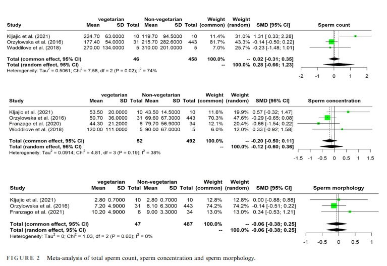 Hombres vegetarianos con no vegetarianos