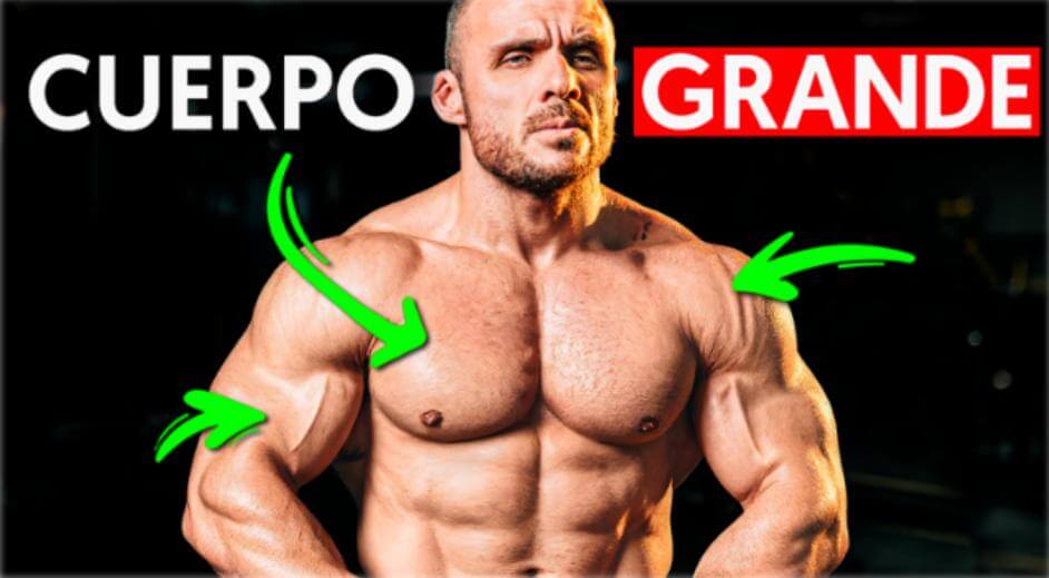 musculos entrenar 1jpg