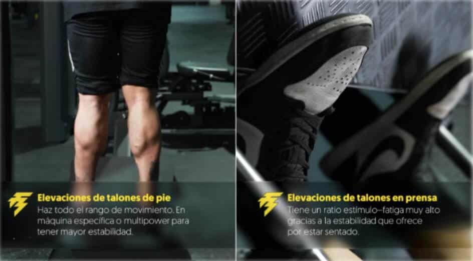 Elevaciones de talones de pie