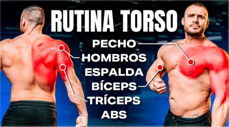 La mejor Rutina de Torso para ganar músculo en el tren superior