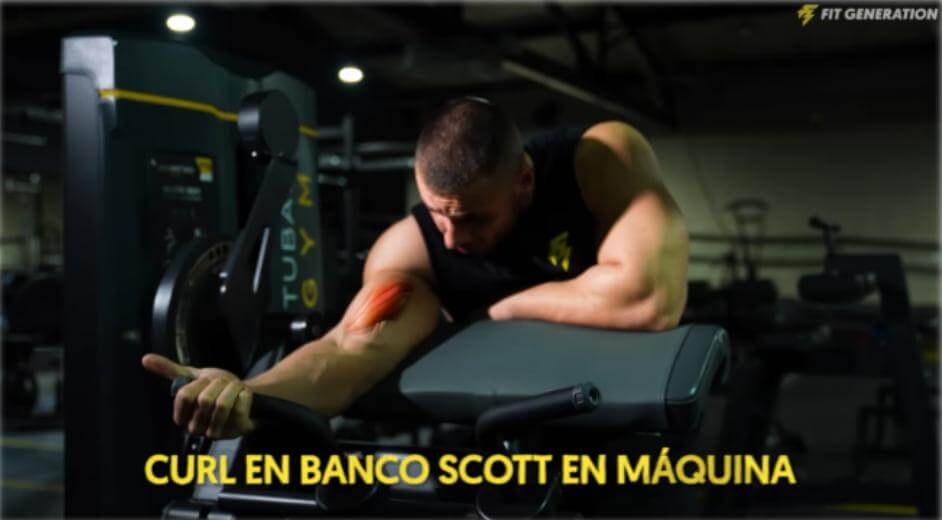 Curl en banco Scott en máquina