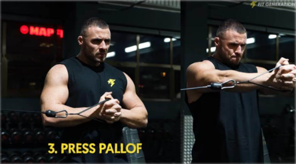 Press Pallof para abdominales